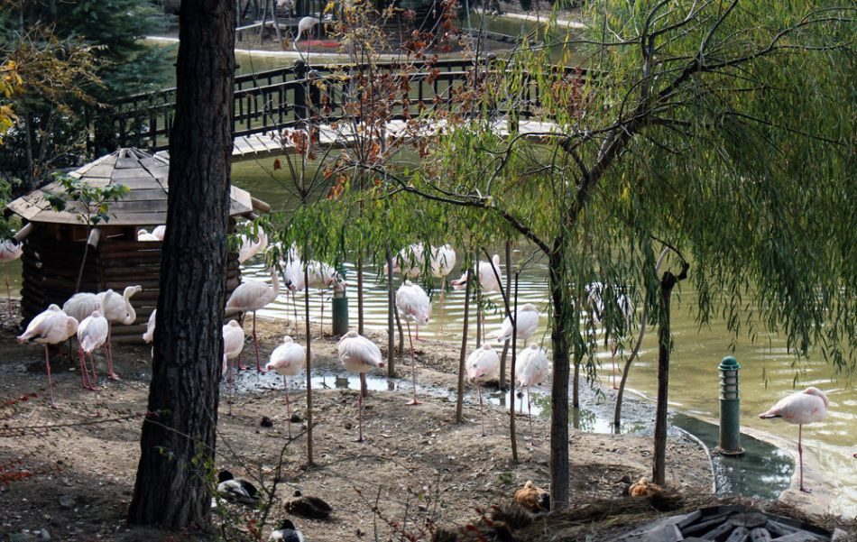 باغ پرندگان تهران