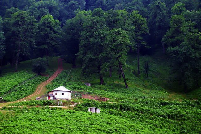 دیدنی های رامسر دیدنی های رامسر