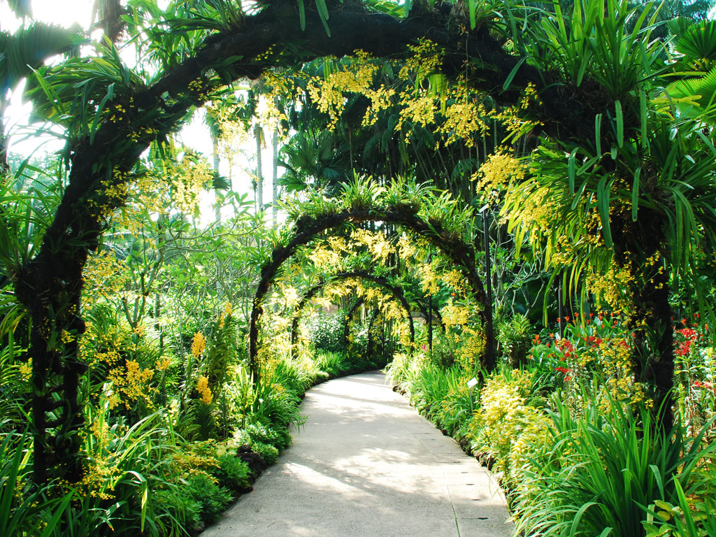 باغ های گیاه شناسی سنگاپور