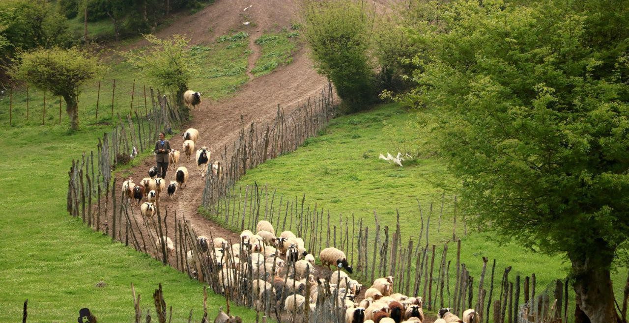 روستای استخرگاه ، رودبار | گیلان 6 - روستای استخرگاه ، رودبار | گیلان