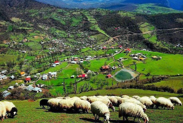 روستای استخرگاه ، رودبار | گیلان photo 2018 07 16 22 34 14 - روستای استخرگاه ، رودبار | گیلان