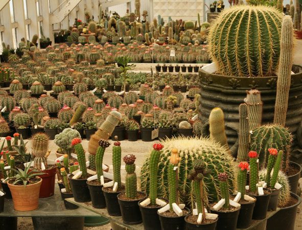 جاهای دیدنی آستارا جاهای دیدنی آستارا