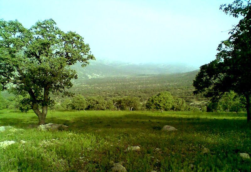 دیدنی های بانه