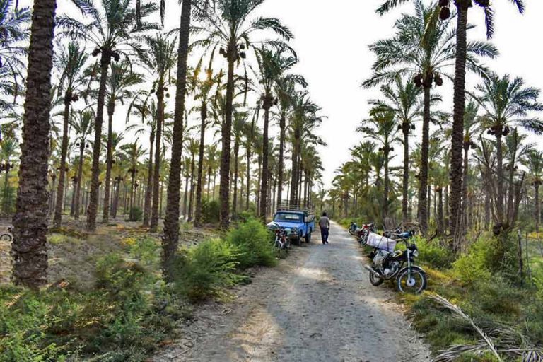 بازارهای سنتی بوشهر | Bushehr های آببخش 768x512 1 - بازارهای سنتی بوشهر | Bushehr