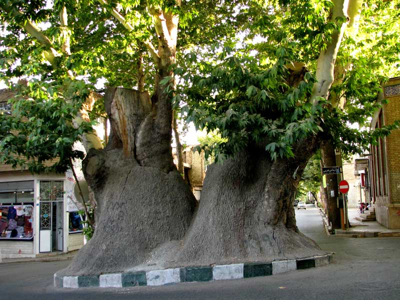 جاهای دیدنی محلات جاهای دیدنی محلات