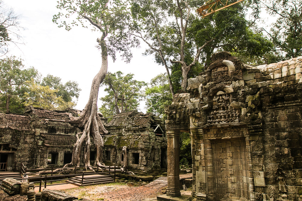 معبد تاپروم کامبوج