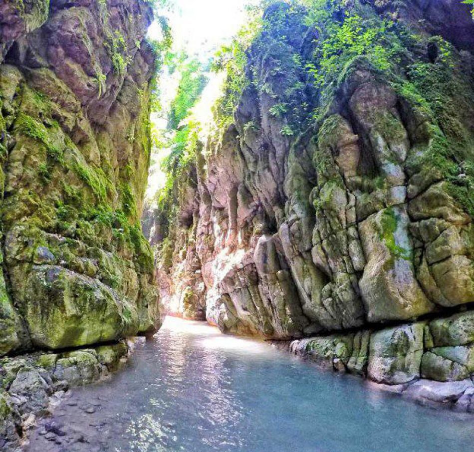 تنگ دار نوشهر