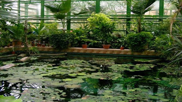جاهای دیدنی بخارست