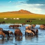 جاهای دیدنی مغولستان