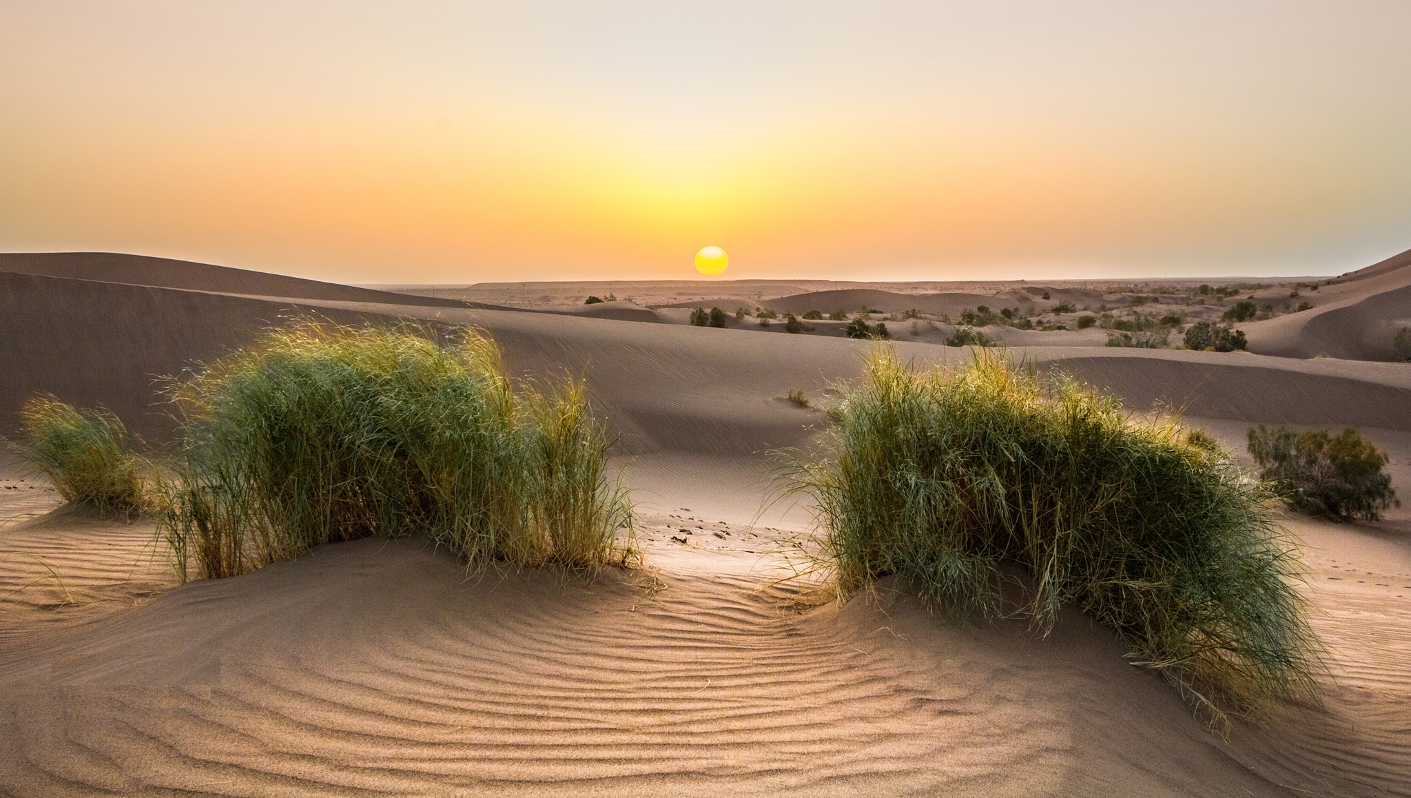 کویر مصر