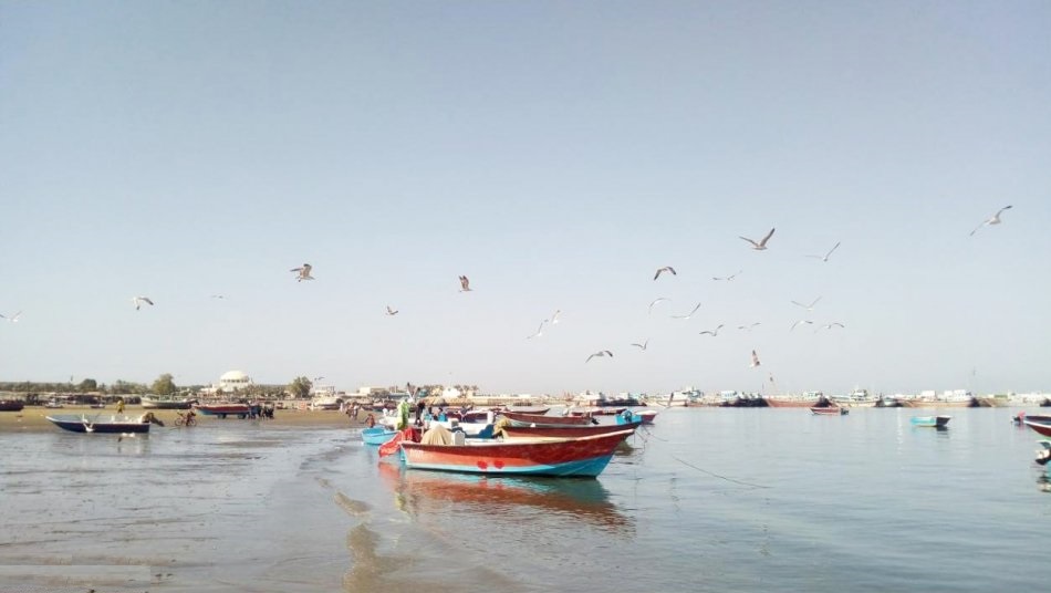 ساحل دریا کوچک چابهار - عکس از: Sardar Ali