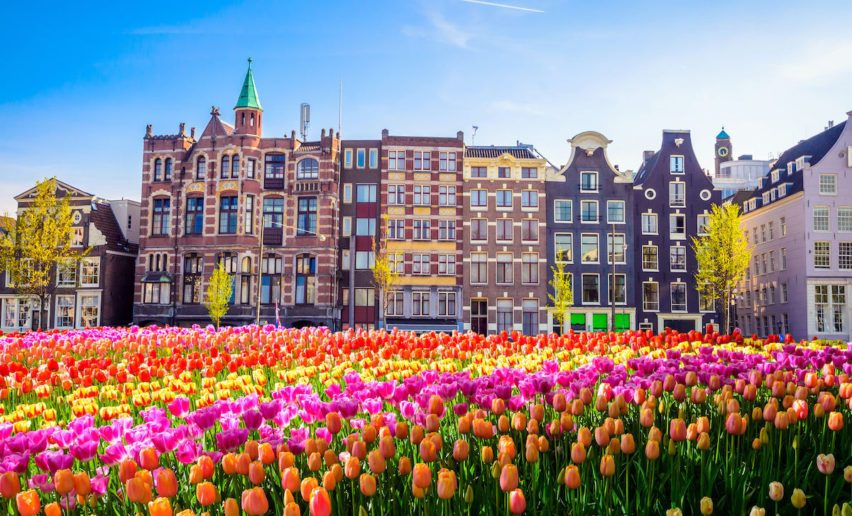 هلند ، دنیای گل‌ها