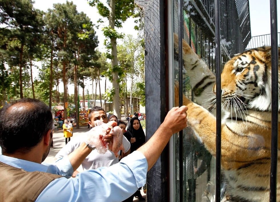 باغ وحش ارم تهران