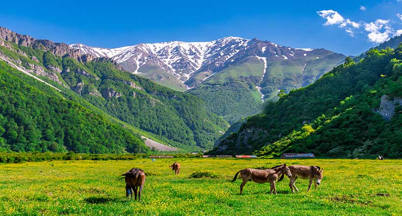 دشت دریاسر