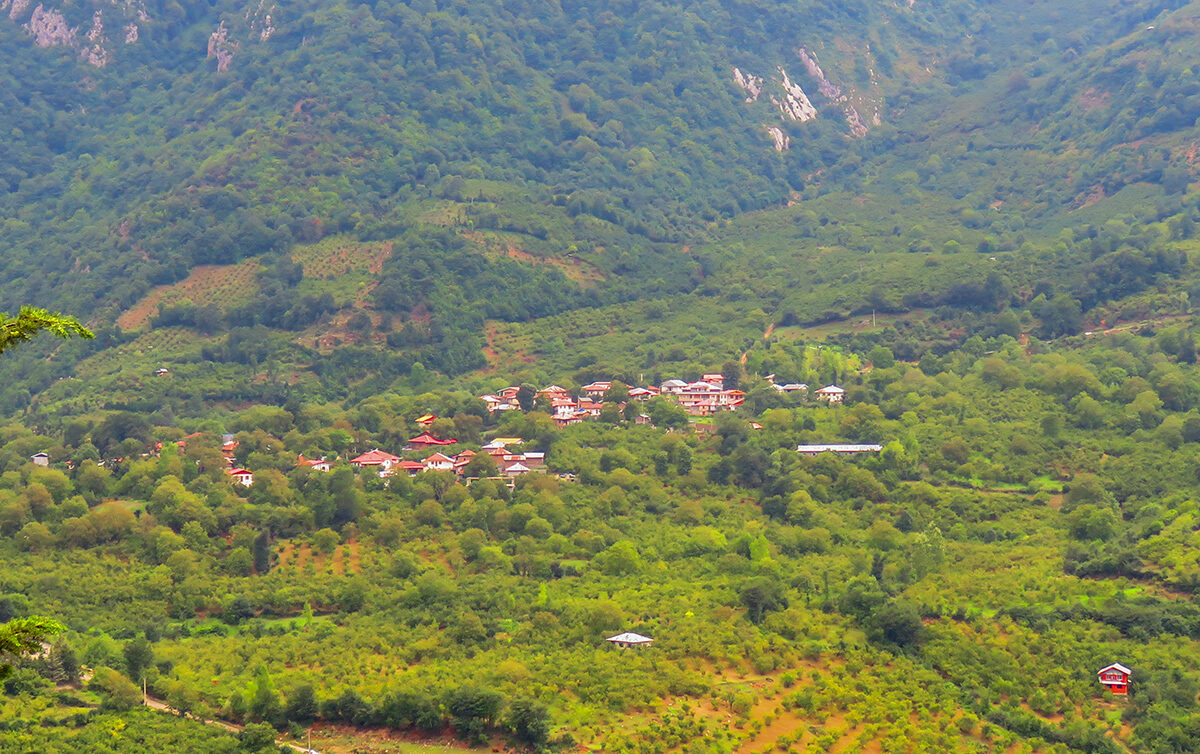 JAMARAN.IR - Photo: Osameh Ghaderi