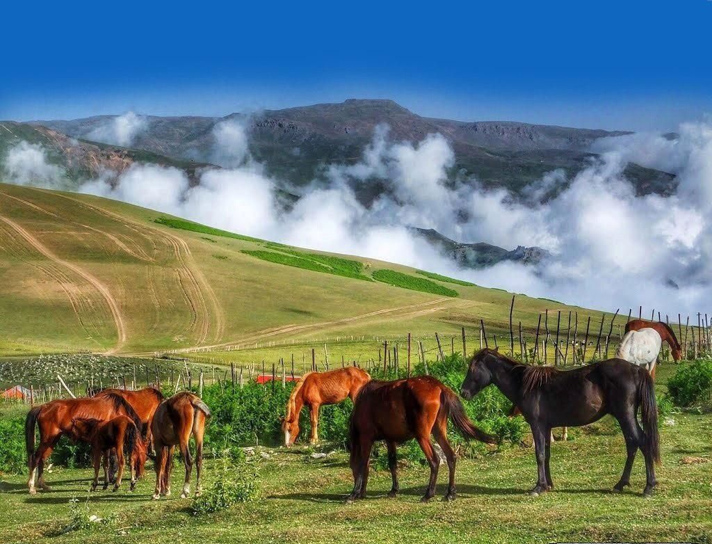 رشت به سوباتان