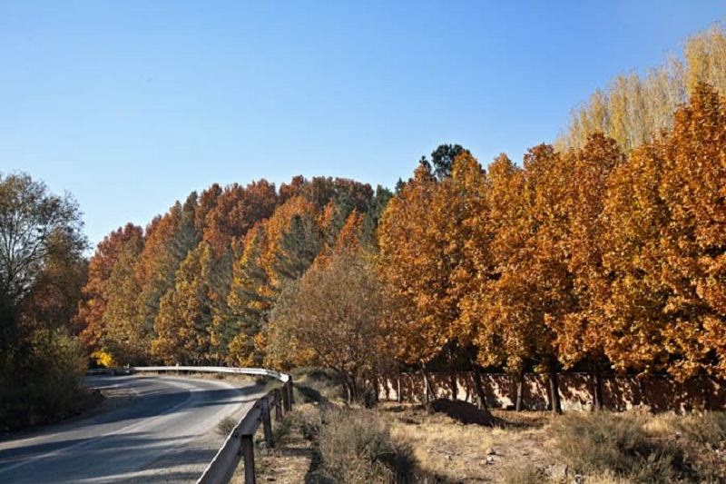 تصاویری از کردان کرج