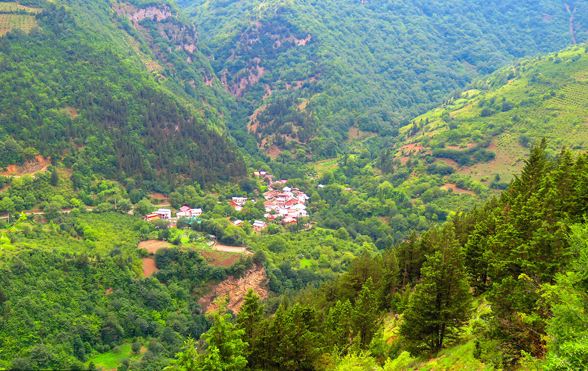 JAMARAN.IR - Photo: Osameh Ghaderi