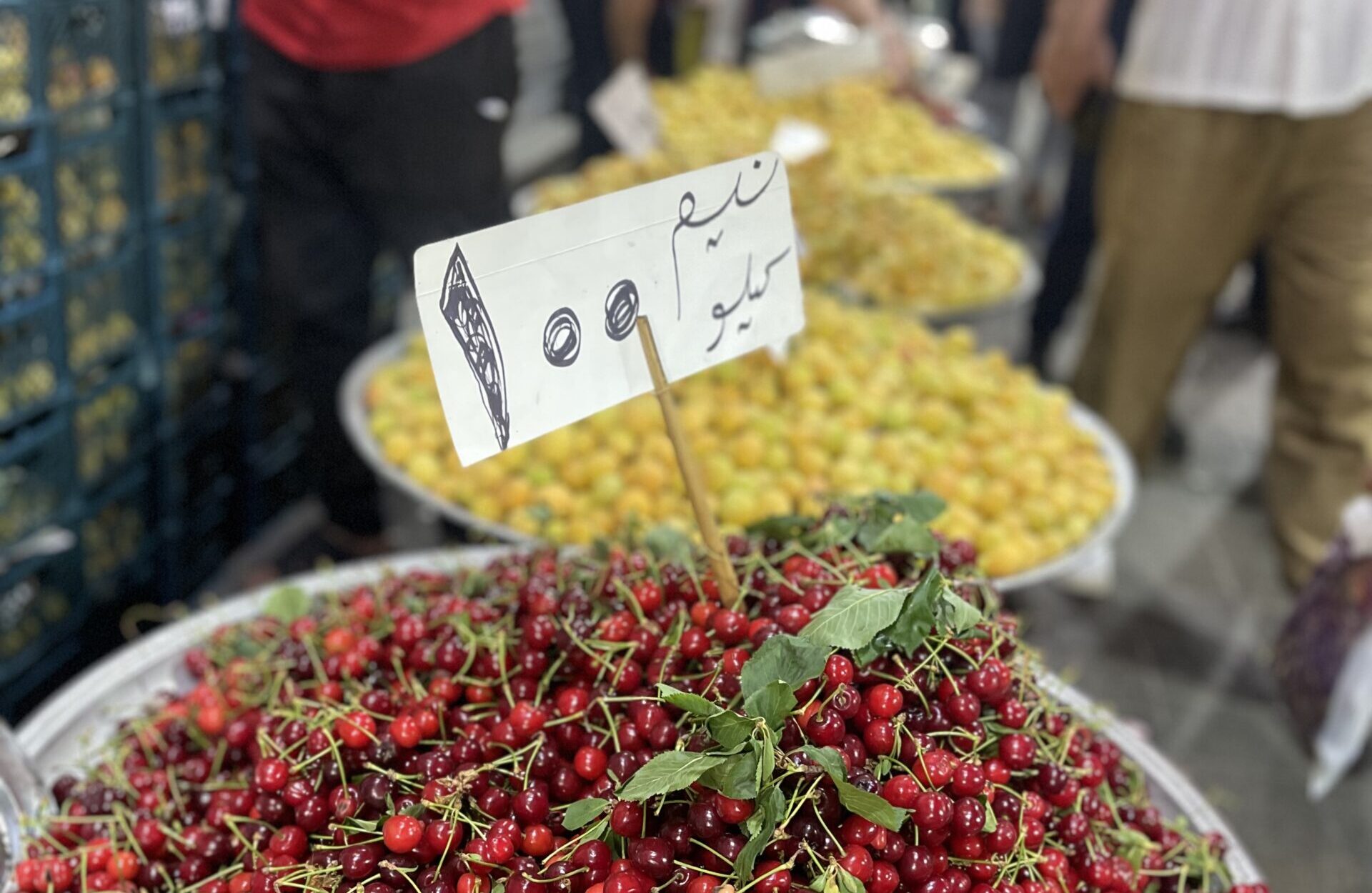 خیابون شریعتی رشت - عکس از: toptourist | سفرنامه گیلان