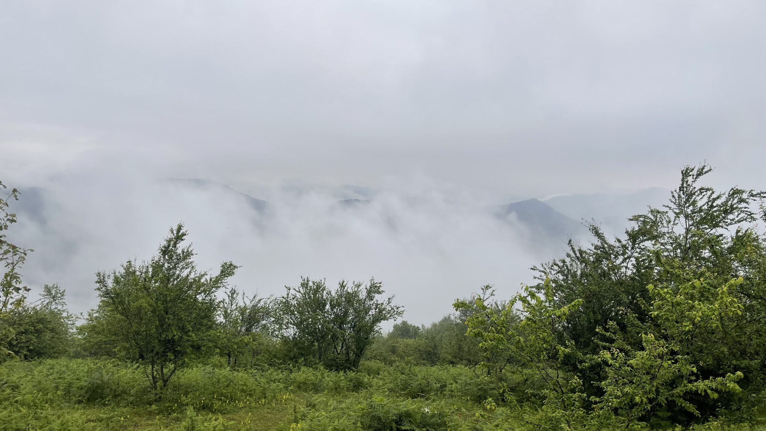 جاده رشت- سیاهکل- دیلمان - عکس از: toptourist | سفرنامه گیلان