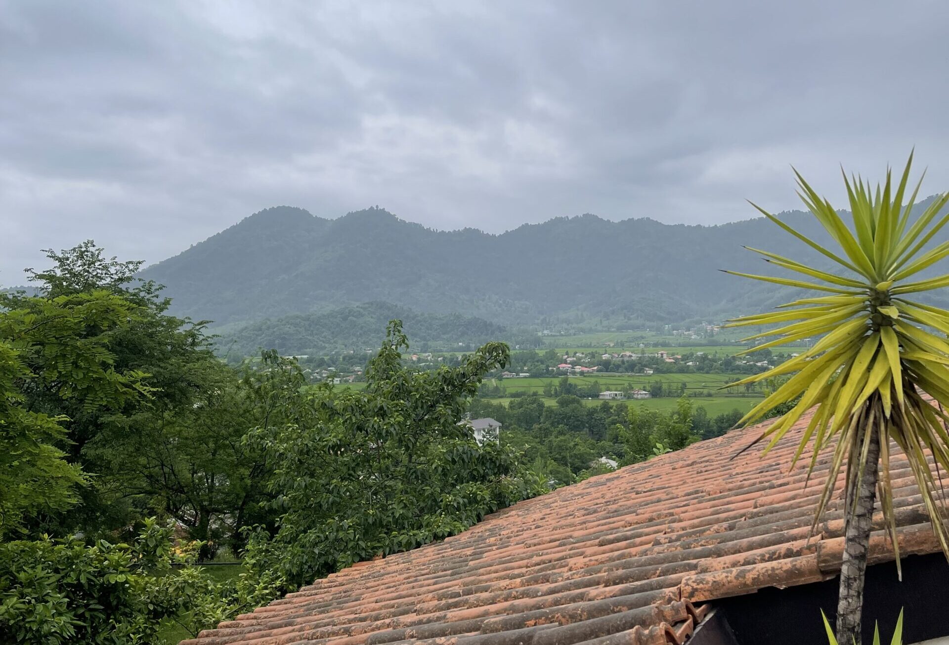 منظره ویلا کُنُس ماسال - عکس از: toptourist | سفرنامه گیلان