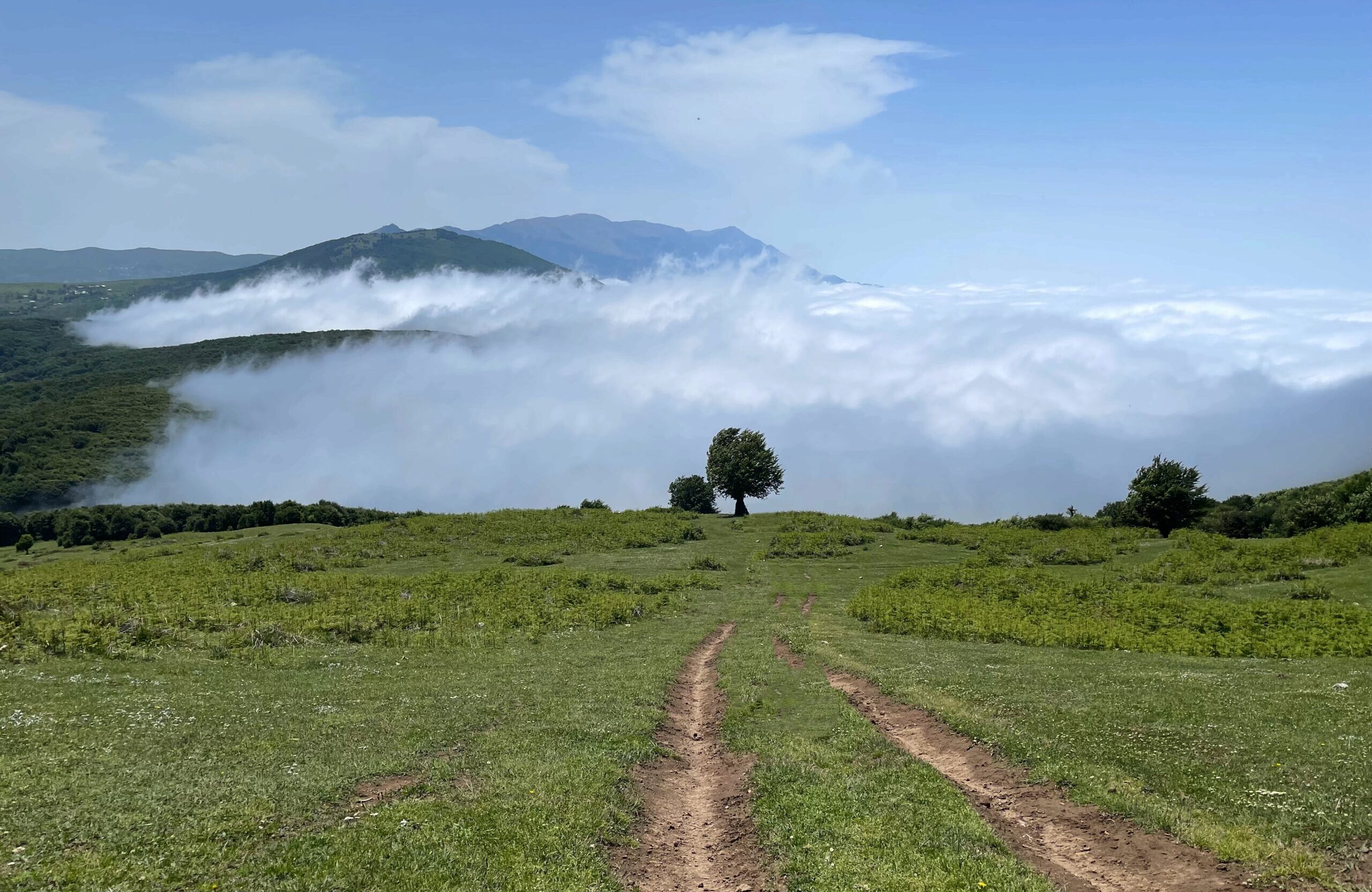 جنگل ابر دیلمان - عکس از: toptourist | سفرنامه گیلان